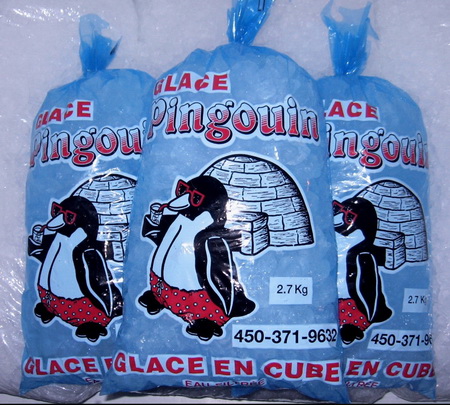 Sac Plastique de Glace